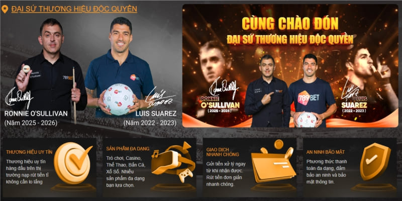 Tổng Quan Về Thương Hiệu 789BET 2026